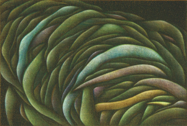 Self Evident: Carol Sanchez, Paige Williams & Ali Gallo